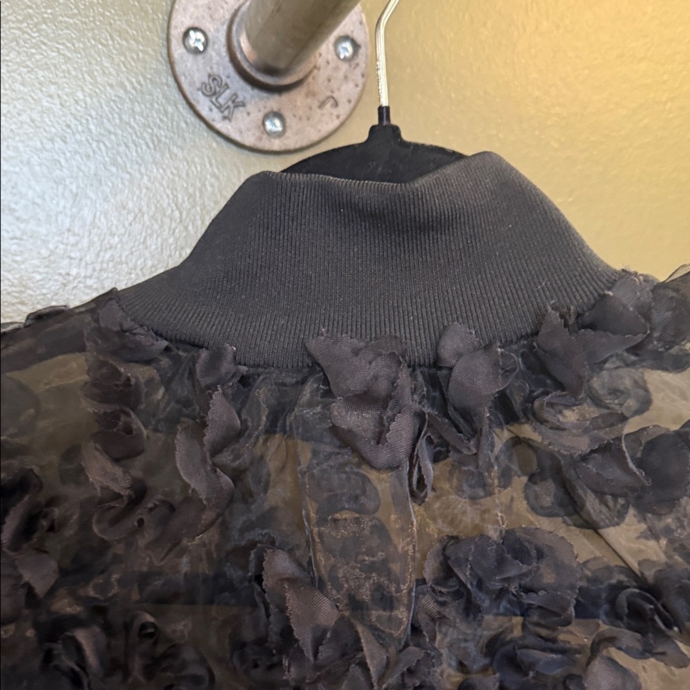 Black Sheer Ruffle Blouse - Picture 3 of 5